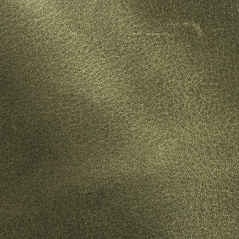 Avocado - CTL Leather